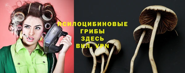 трава Семикаракорск