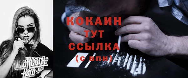 хмурый Абаза