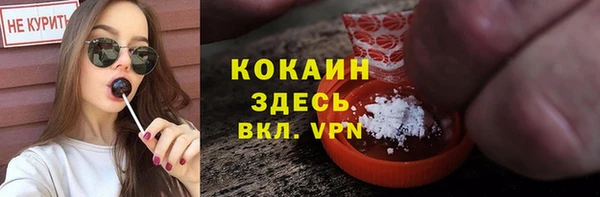 стаф Данков