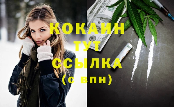 хмурый Абаза