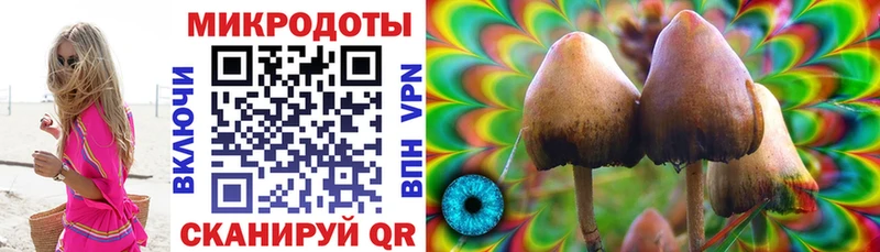 как найти   Анадырь  Псилоцибиновые грибы ЛСД 